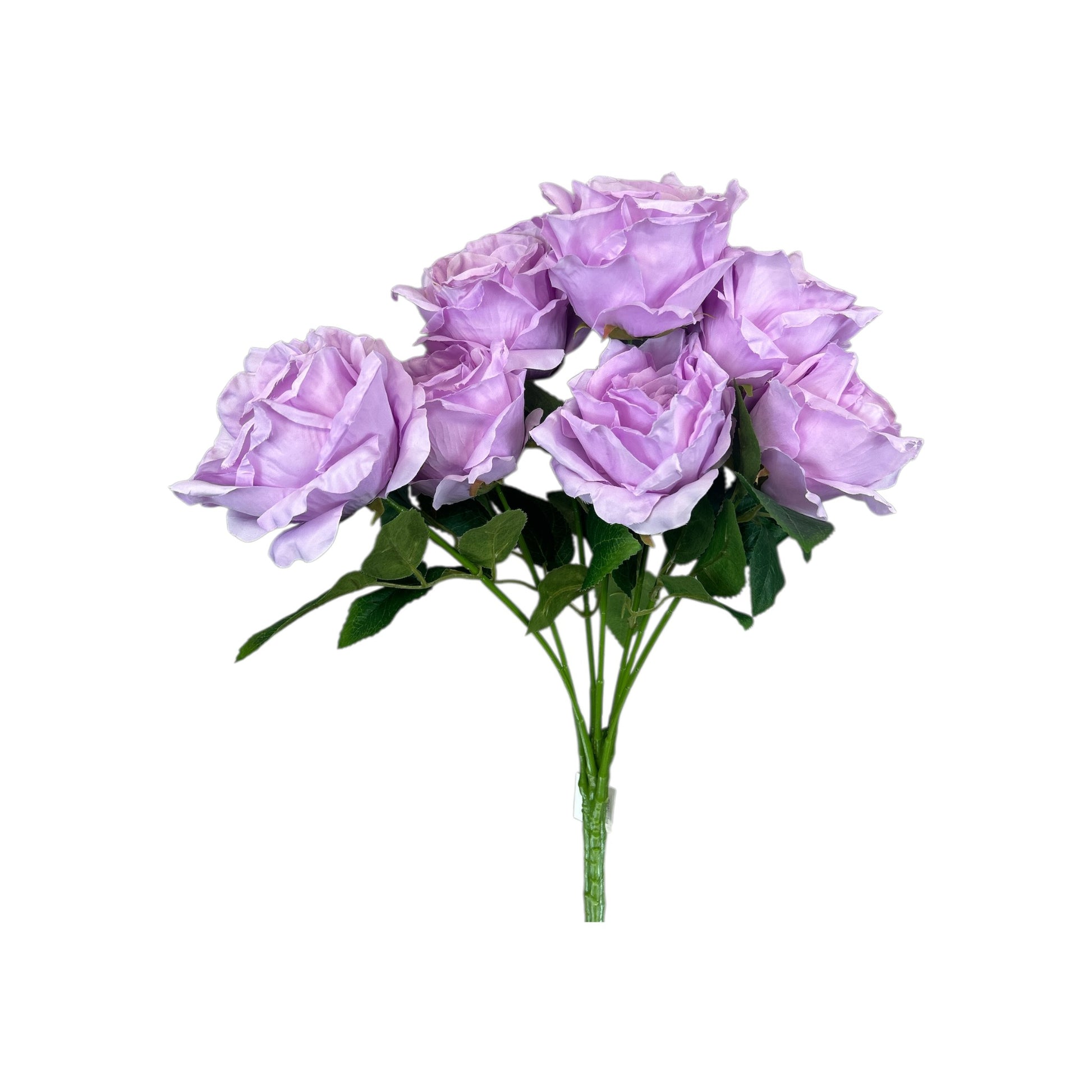 Purple Rose Bush- 7 heads