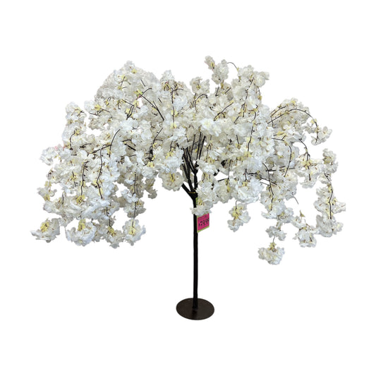 Cherry Blossom Tree 6 Feet Tall