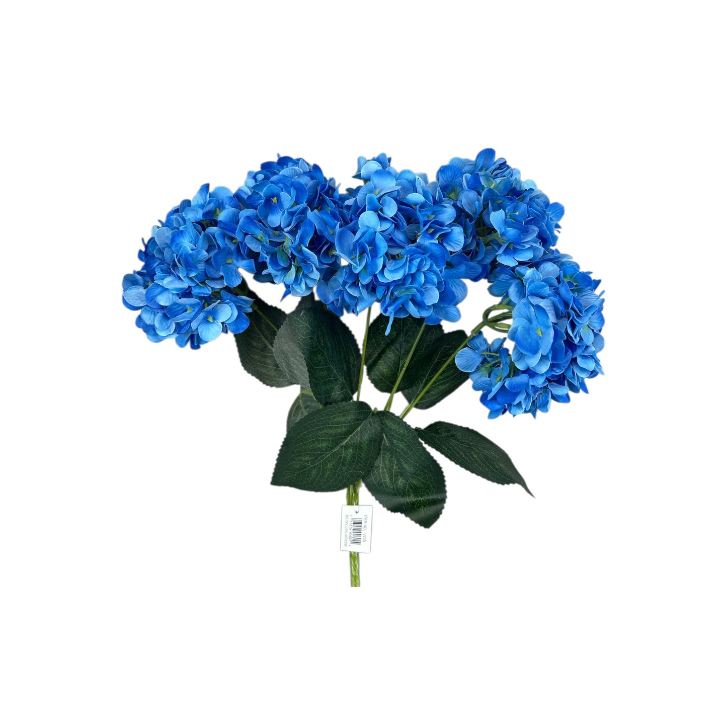 Royal Blue Hydrangea Bush- 5 heads