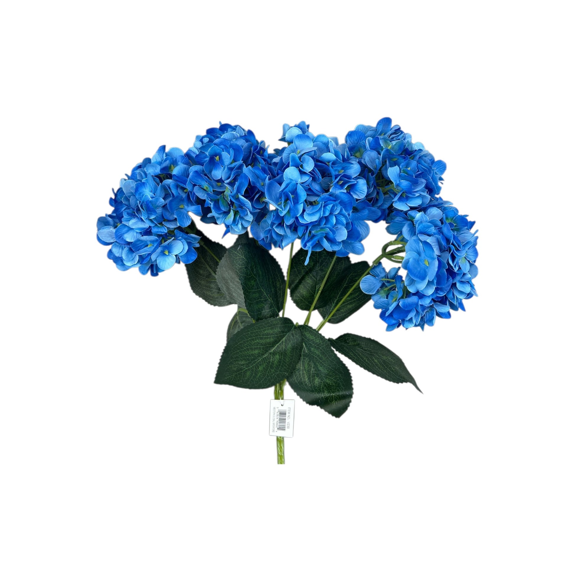 Royal Blue Hydrangea Bush- 5 heads