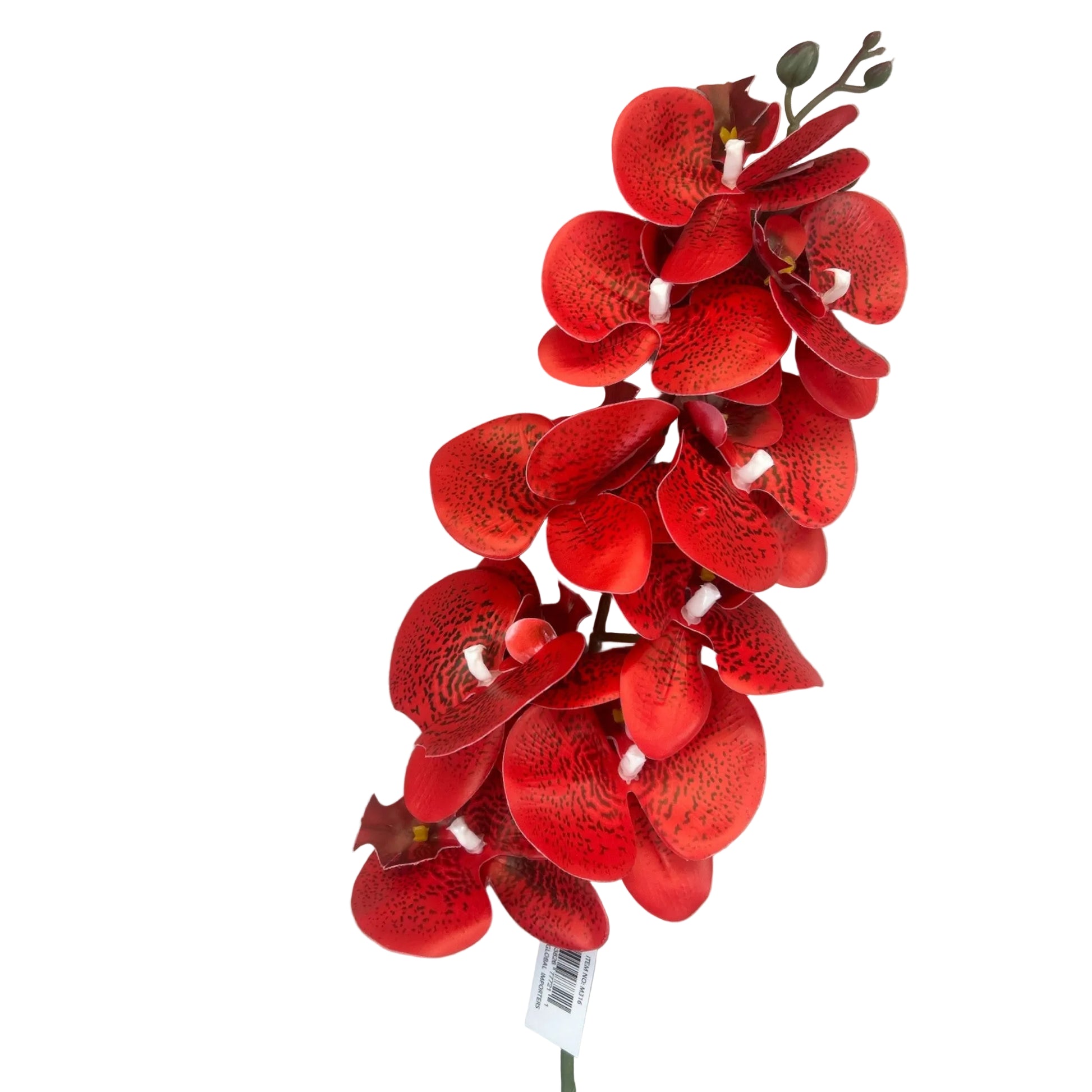 Red Phalaenopsis Orchid Spray- 9 heads