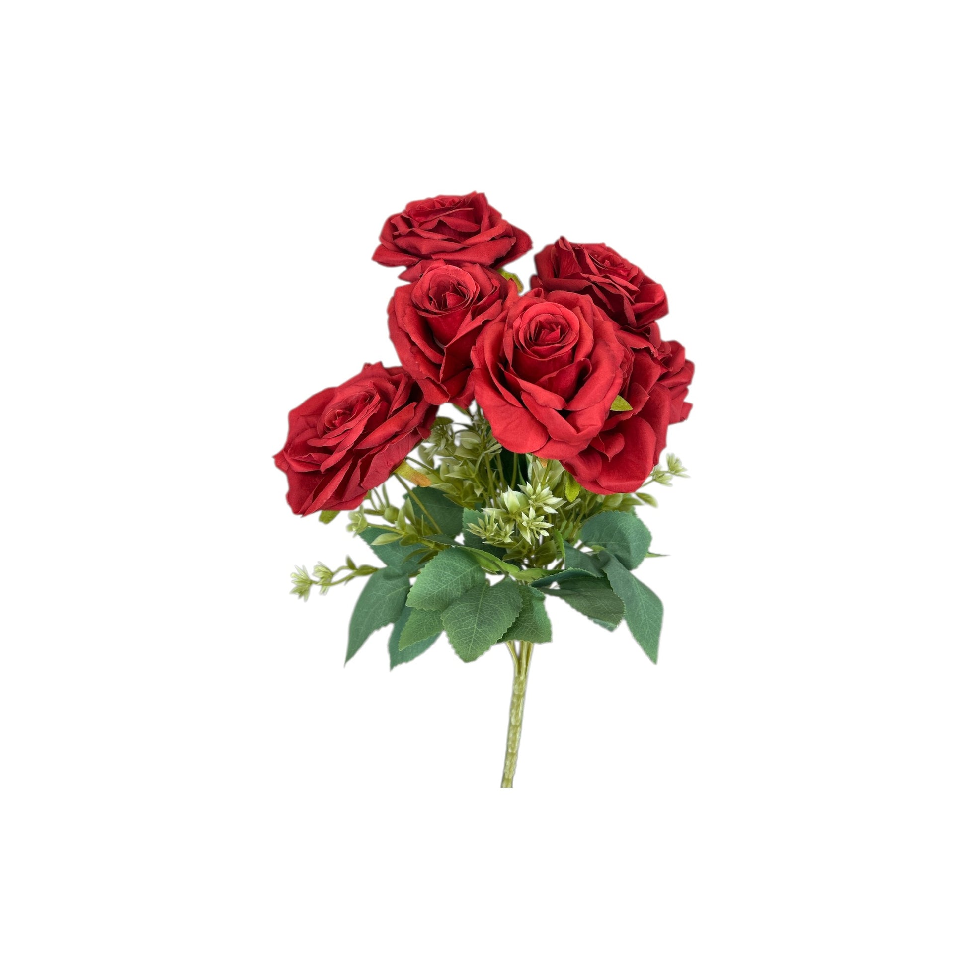 Red Rose Bush- 7 heads