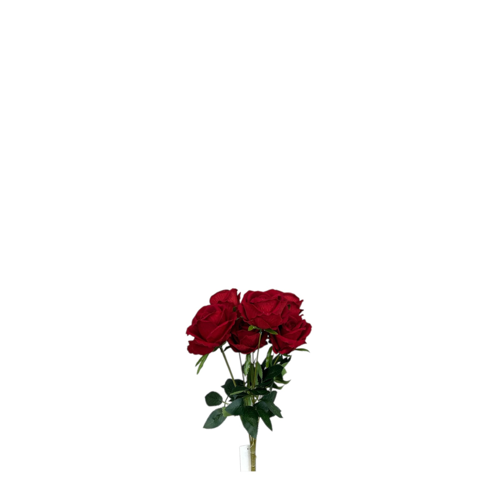 Red Velvet Rose Bush- 9 flowers