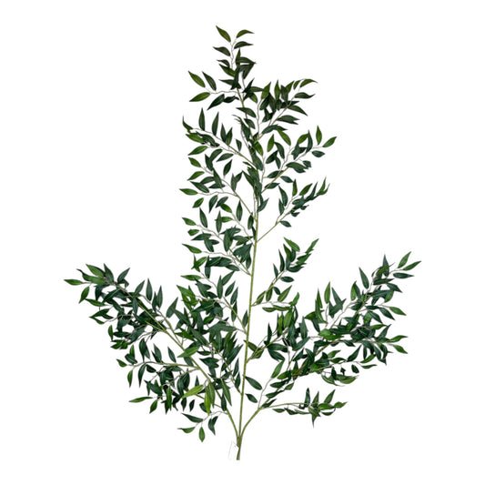 Giant Ruscus Spray