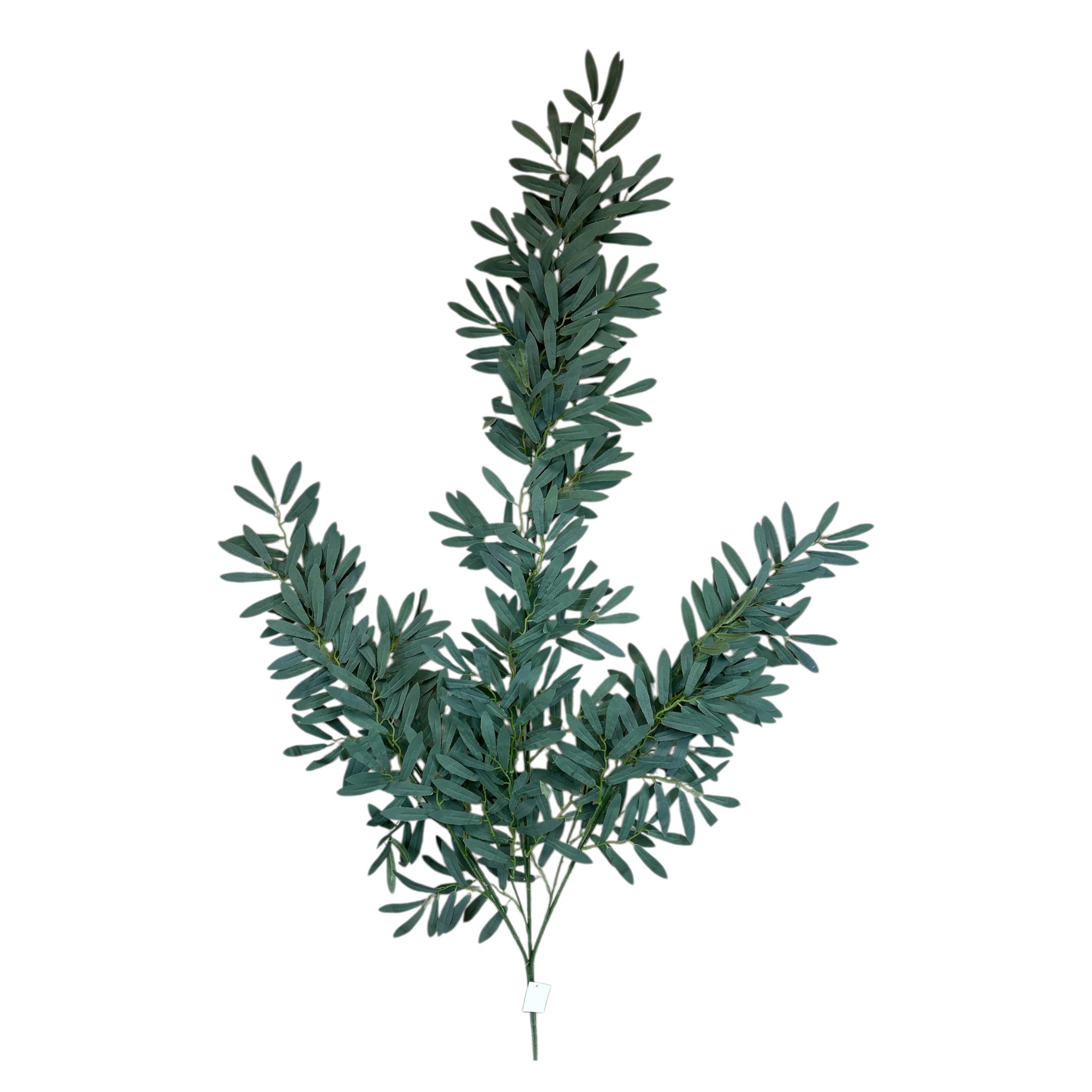 Ruscus Vine Spray