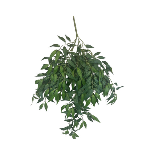 Laural/Ruscus Bush