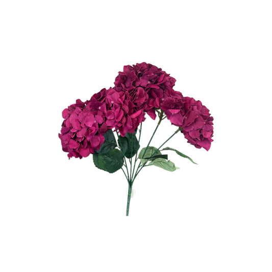 Sangria Hydrangea Bush- 6 heads