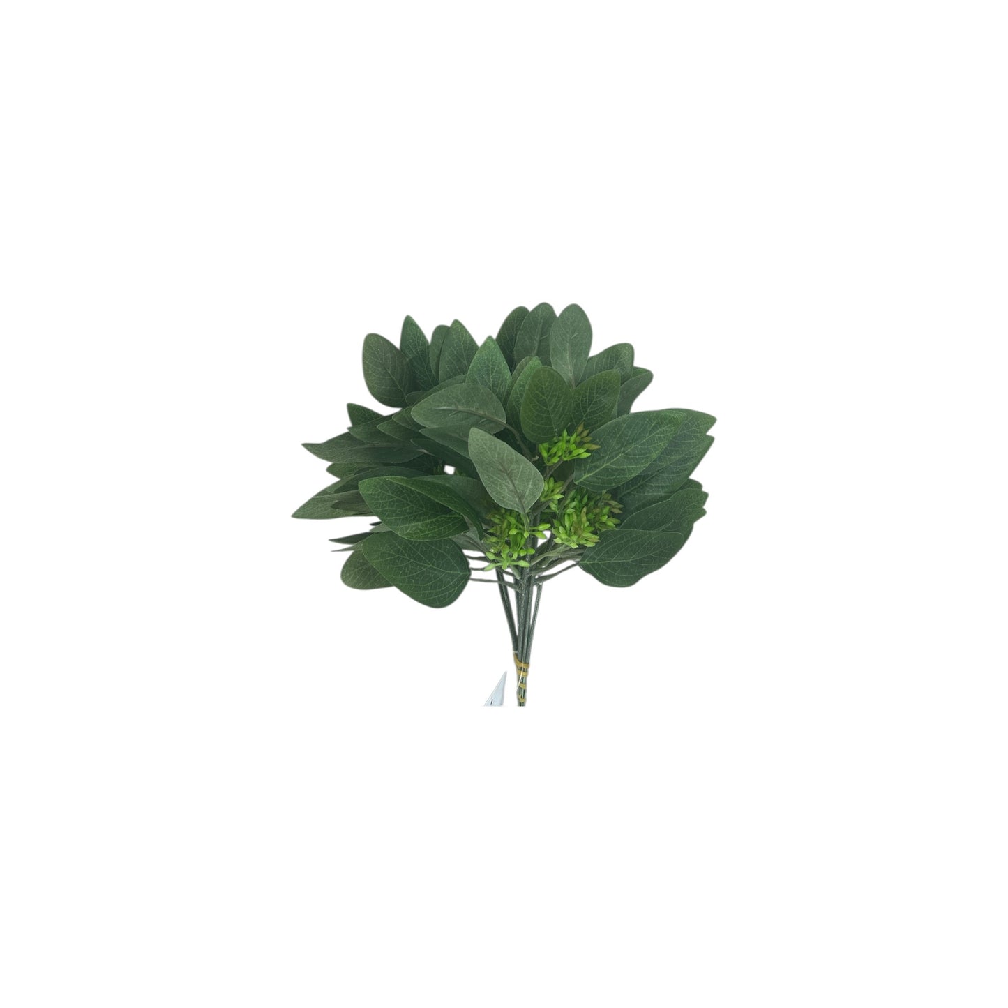 Seeded Eucalyptus Picks-10 heads