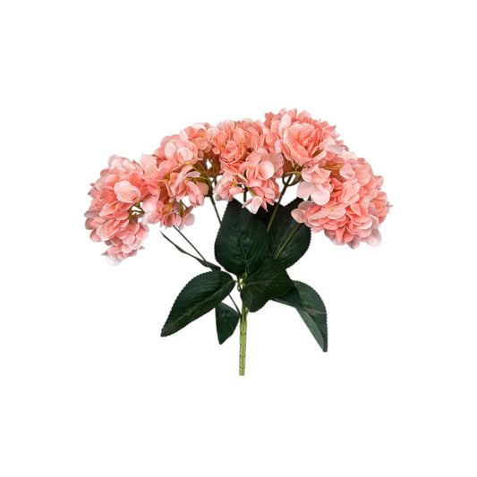 Watermelon Hydrangea Bush- 5 heads