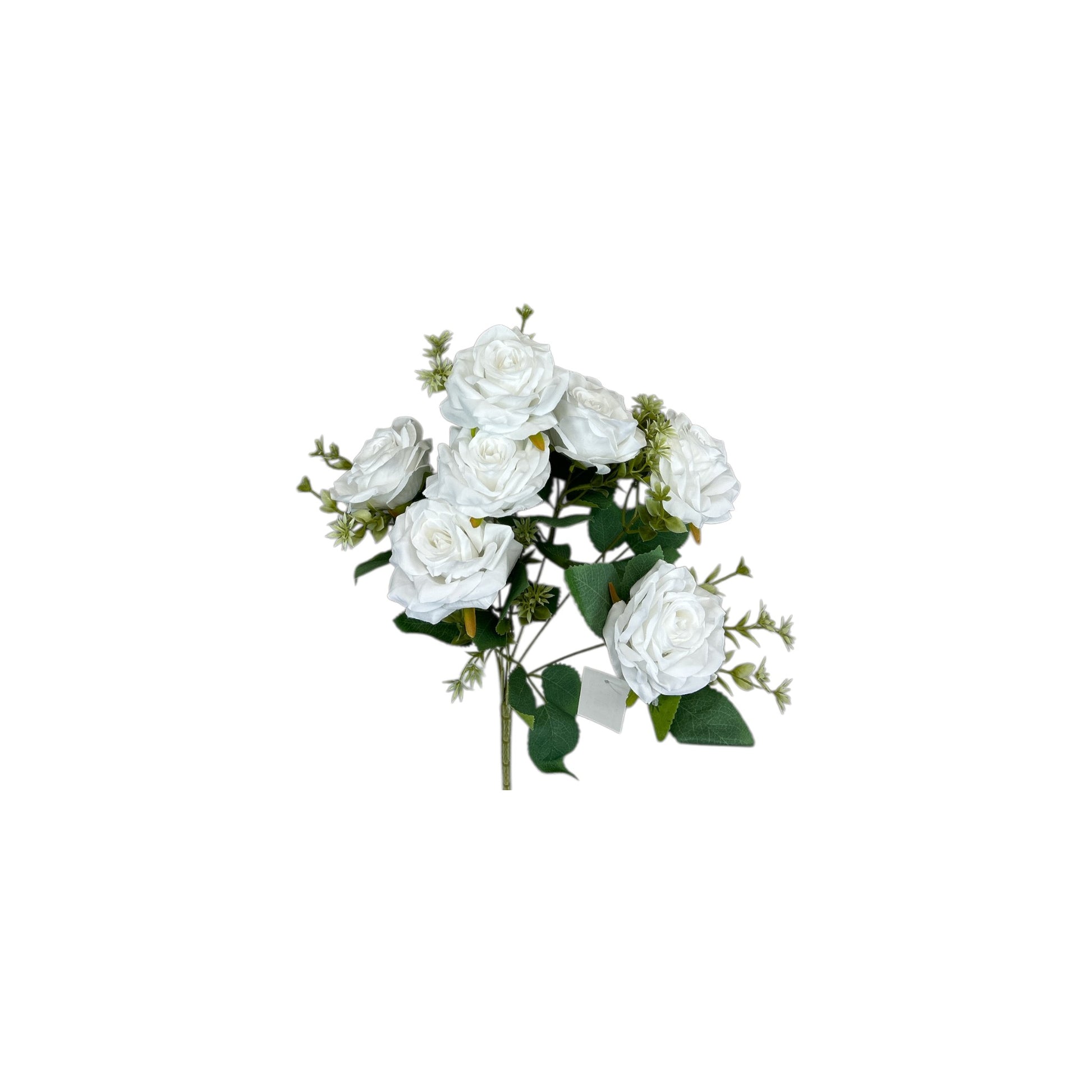 White Rose Bush- 7 heads