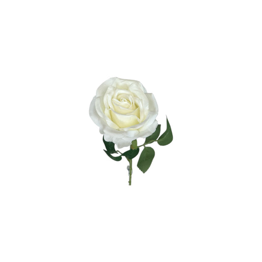 White Rose Stem