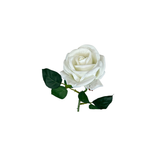 White Velvet Rose Stem