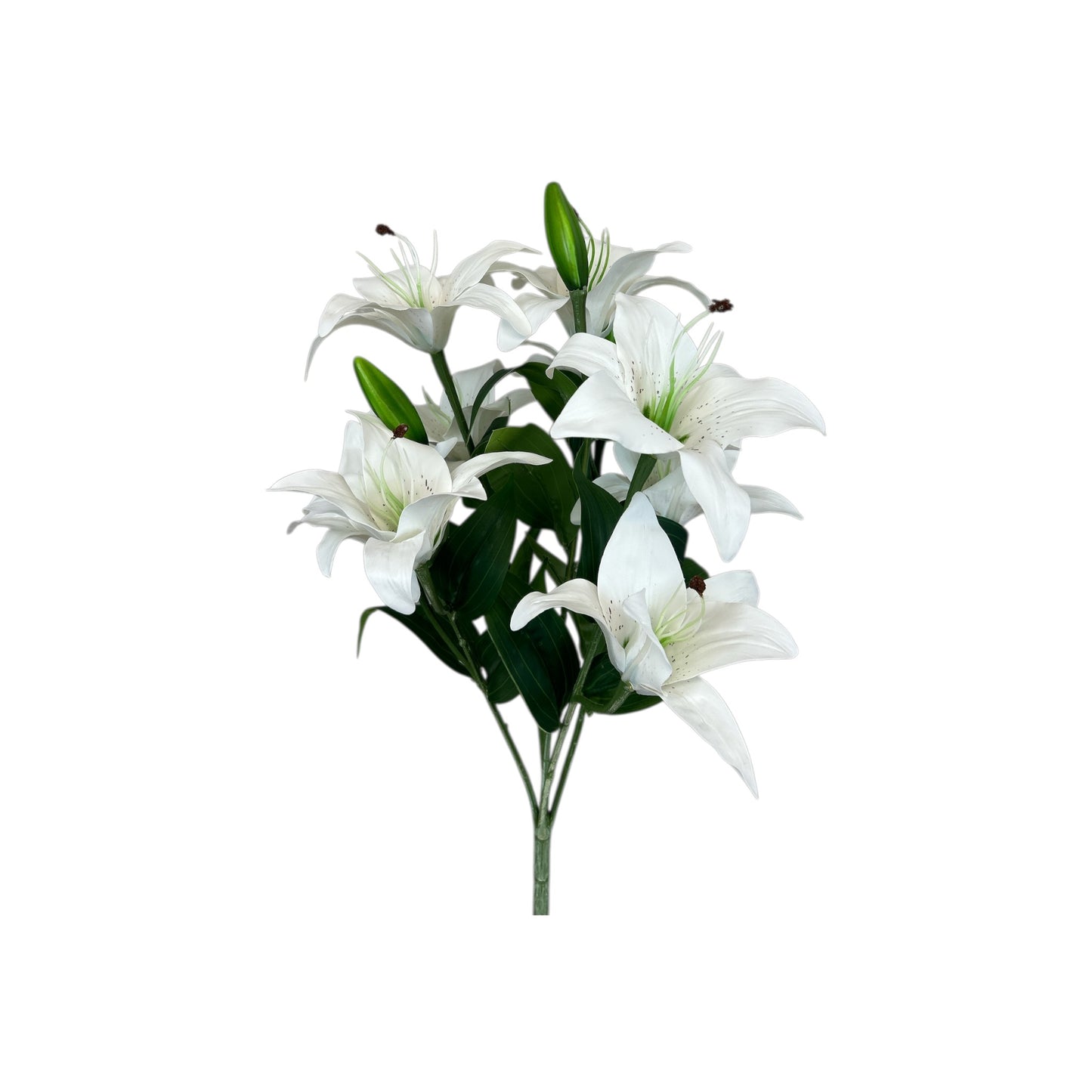 White Tiger Lily Bush- 9 heads